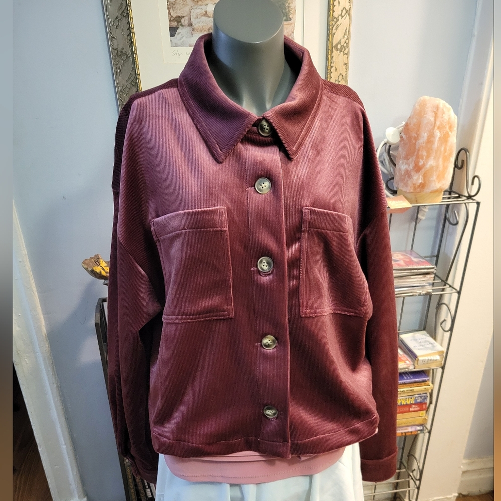 Express Deep Burgundy Bomber Jacket